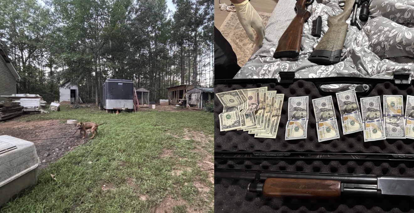 23 dogs seized in Crawford County dog fighting investigation
